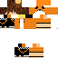 Texture for Lion Moquer