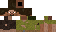 Texture for Survive Petruss