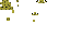 Texture for leopard gecko 