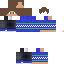 Texture for only in the game of what are those