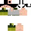 Texture for Steve