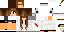 Texture for Demolinter
