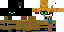 Texture for Max