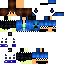 Texture for PROGR2002DH