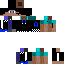 Texture for Asarcus