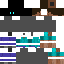 Texture for Robo-Steve