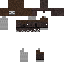 Texture for sleleton war
