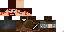 Texture for ds