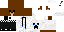 Texture for bear