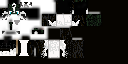 Texture for wolf link 1