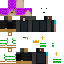 Texture for Dss