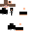 Texture for HDTMC