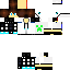 Texture for vanpigames