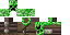 Texture for cbbc