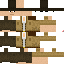Texture for SW4T