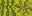 Texture for melon