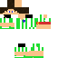 Texture for guyf211