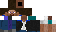 Texture for Steve