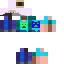 Texture for CreeperPRO1