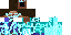 Texture for Frostie Steve