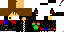 Texture for vanj55