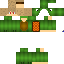 Texture for Turtle