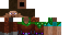 Texture for Steve