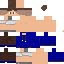 Texture for Pheenix00