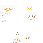 Texture for jack'olight