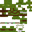 Texture for lizard aborigine(player)