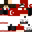 Texture for  pıv