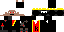 Texture for ninja
