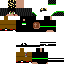 Texture for Linkwild17