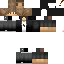 Texture for Str8UpStealth1
