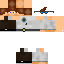 Texture for steve