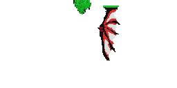 Texture for ddd