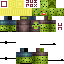 Texture for Cactuz