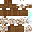 Texture for ayı