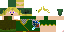 Texture for Link
