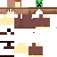 Texture for 學生妹