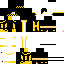 Texture for Himaker4
