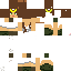 Texture for artemis