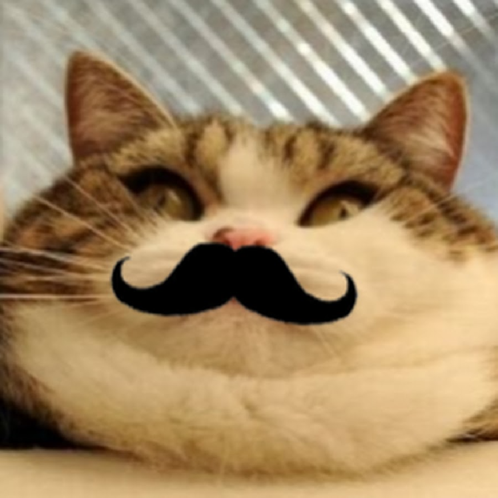 Texture for cat wood