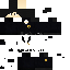 Texture for lspd