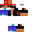 Texture for ds