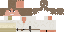 Texture for b5