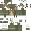 Texture for Kermit