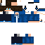 Texture for Steve