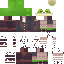 Texture for frogcowboy