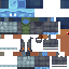 Texture for allay